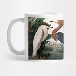 Bird of America  Bird, bird lover, america, beautiful  Public domain painting by John James Audubon Mug